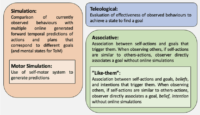 Figure 1 for Learning mental states estimation through self-observation: a developmental synergy between intentions and beliefs representations in a deep-learning model of Theory of Mind