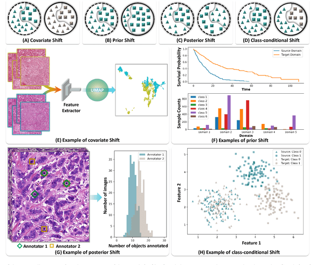 Figure 2 for Domain Generalization in Computational Pathology: Survey and Guidelines