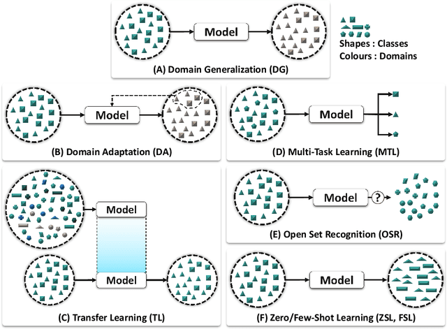 Figure 3 for Domain Generalization in Computational Pathology: Survey and Guidelines