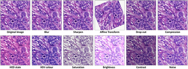 Figure 4 for Domain Generalization in Computational Pathology: Survey and Guidelines