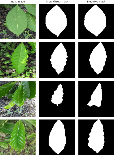 Figure 4 for Evaluating Data Augmentation Techniques for Coffee Leaf Disease Classification