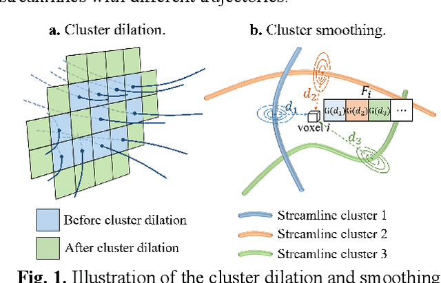 Figure 1 for A Novel Deep Clustering Framework for Fine-Scale Parcellation of Amygdala Using dMRI Tractography