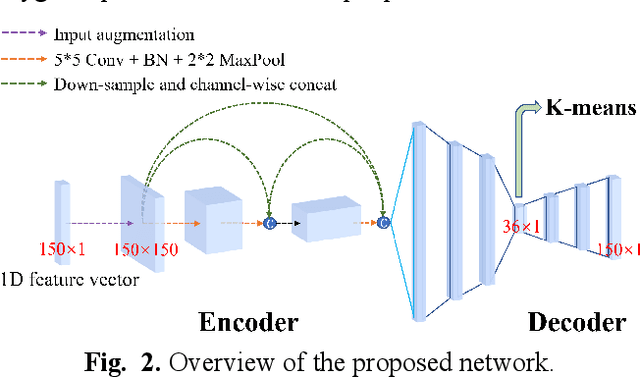 Figure 2 for A Novel Deep Clustering Framework for Fine-Scale Parcellation of Amygdala Using dMRI Tractography