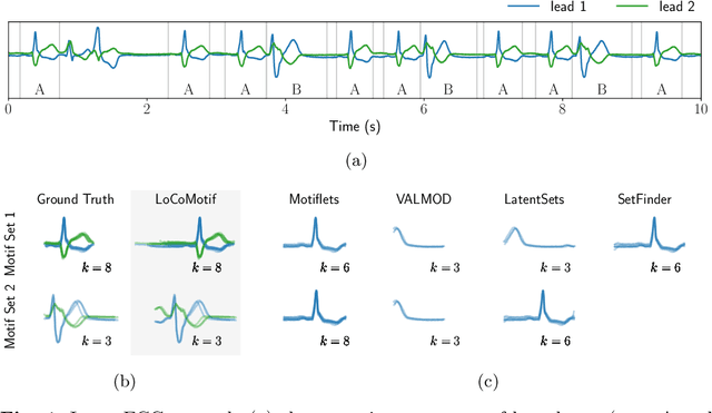 Figure 1 for LoCoMotif: Discovering time-warped motifs in time series