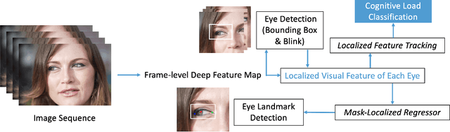 Figure 1 for CLERA: A Unified Model for Joint Cognitive Load and Eye Region Analysis in the Wild