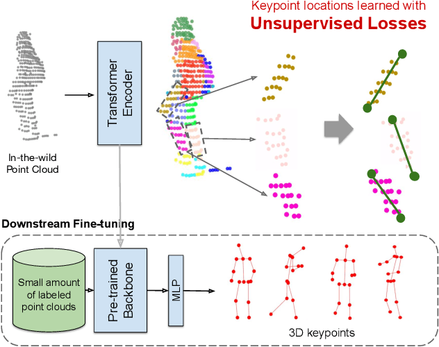 Figure 1 for 3D Human Keypoints Estimation From Point Clouds in the Wild Without Human Labels