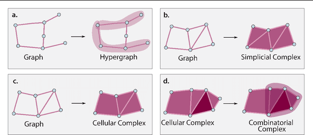 Figure 3 for ICML Topological Deep Learning Challenge 2024: Beyond the Graph Domain