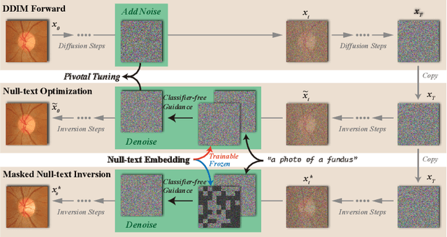 Figure 1 for Test-Time Generative Augmentation for Medical Image Segmentation