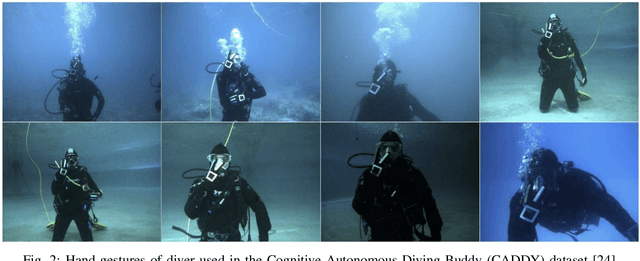 Figure 2 for Underwater Human-Robot and Human-Swarm Interaction: A Review and Perspective