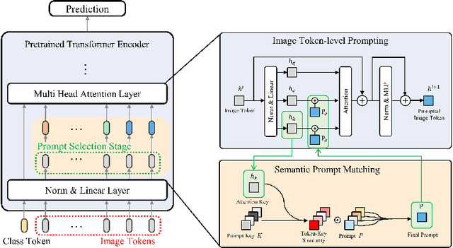 Figure 3 for Semantic Prompting with Image-Token for Continual Learning