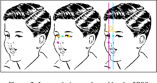 Figure 3 for SymFace: Additional Facial Symmetry Loss for Deep Face Recognition