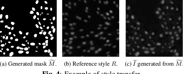 Figure 4 for An expert-driven data generation pipeline for histological images