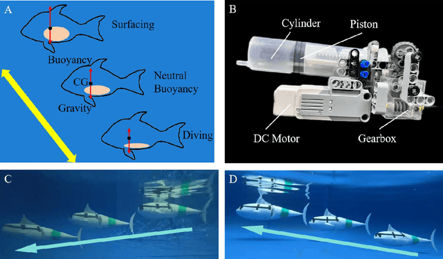 Figure 3 for How Biomimetic Morphing Dorsal Fin Affects the Swimming Performance of a Free-swimming Tuna Robot