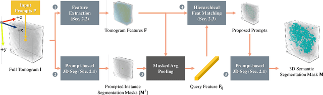 Figure 1 for Training-free CryoET Tomogram Segmentation