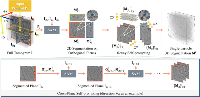 Figure 3 for Training-free CryoET Tomogram Segmentation