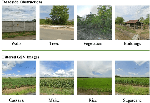 Figure 1 for Combining deep learning and street view imagery to map smallholder crop types