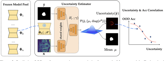 Figure 3 for On the Out of Distribution Robustness of Foundation Models in Medical Image Segmentation