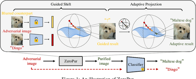 Figure 1 for ZeroPur: Succinct Training-Free Adversarial Purification