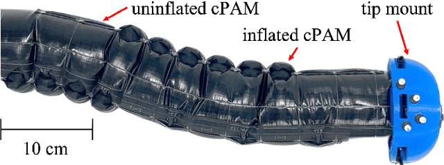 Figure 1 for A Multi-Segment, Soft Growing Robot with Selective Steering