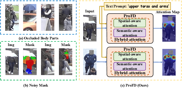 Figure 1 for ProFD: Prompt-Guided Feature Disentangling for Occluded Person Re-Identification