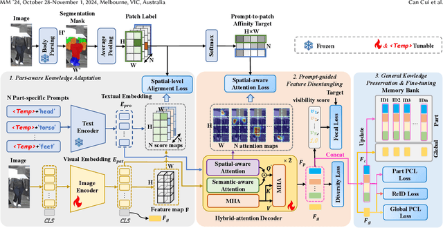 Figure 3 for ProFD: Prompt-Guided Feature Disentangling for Occluded Person Re-Identification