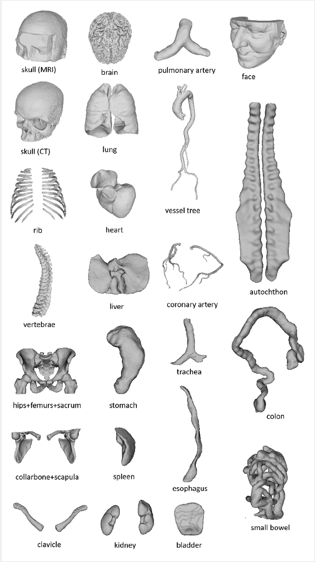 Figure 1 for MedShapeNet -- A Large-Scale Dataset of 3D Medical Shapes for Computer Vision