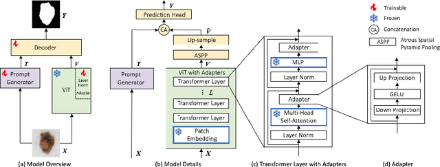 Figure 1 for AViT: Adapting Vision Transformers for Small Skin Lesion Segmentation Datasets