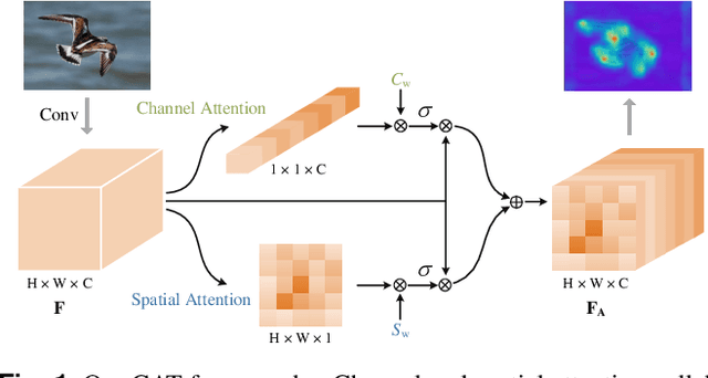 Figure 1 for CAT: Learning to Collaborate Channel and Spatial Attention from Multi-Information Fusion