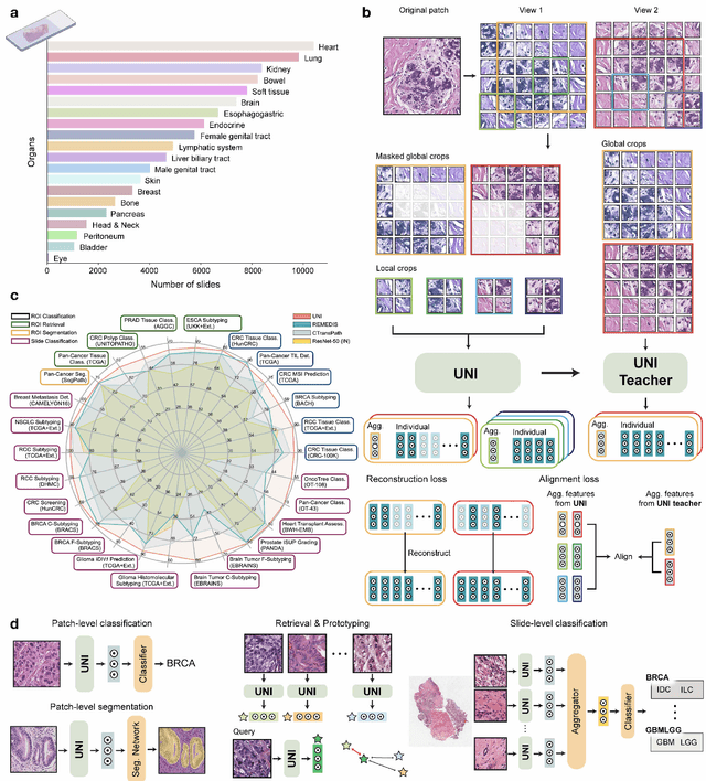 Figure 1 for A General-Purpose Self-Supervised Model for Computational Pathology