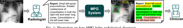 Figure 1 for Medical Phrase Grounding with Region-Phrase Context Contrastive Alignment