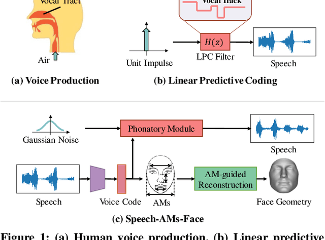 Figure 1 for Rethinking Voice-Face Correlation: A Geometry View