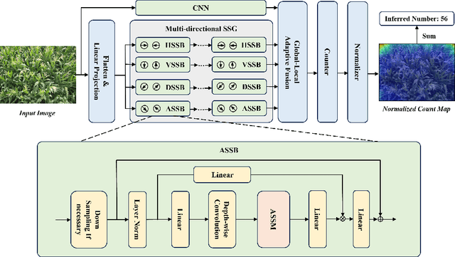 Figure 1 for CountMamba: Exploring Multi-directional Selective State-Space Models for Plant Counting