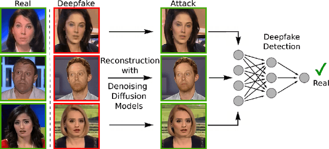 Figure 1 for On the Vulnerability of DeepFake Detectors to Attacks Generated by Denoising Diffusion Models