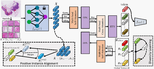 Figure 3 for DGR-MIL: Exploring Diverse Global Representation in Multiple Instance Learning for Whole Slide Image Classification