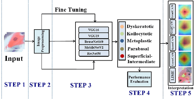 Figure 1 for Explainable Contrastive and Cost-Sensitive Learning for Cervical Cancer Classification