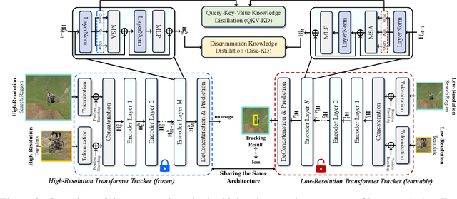 Figure 3 for LoReTrack: Efficient and Accurate Low-Resolution Transformer Tracking