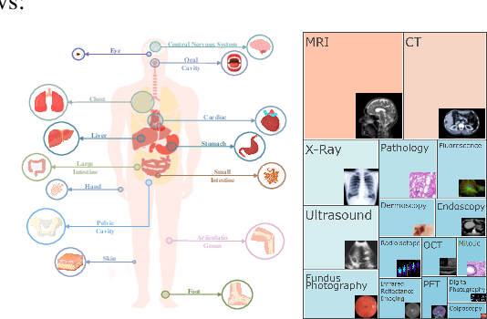 Figure 3 for CARES: A Comprehensive Benchmark of Trustworthiness in Medical Vision Language Models