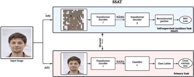 Figure 1 for Self-supervised Auxiliary Learning for Texture and Model-based Hybrid Robust and Fair Featuring in Face Analysis