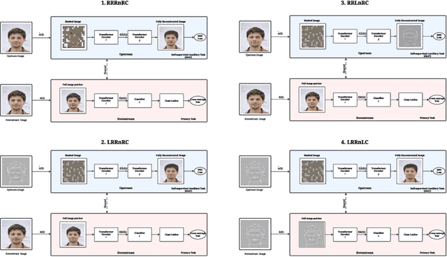 Figure 3 for Self-supervised Auxiliary Learning for Texture and Model-based Hybrid Robust and Fair Featuring in Face Analysis