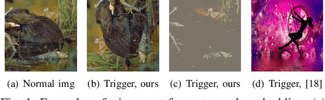 Figure 1 for On the Weaknesses of Backdoor-based Model Watermarking: An Information-theoretic Perspective