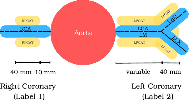 Figure 2 for Automated Measurement of Pericoronary Adipose Tissue Attenuation and Volume in CT Angiography