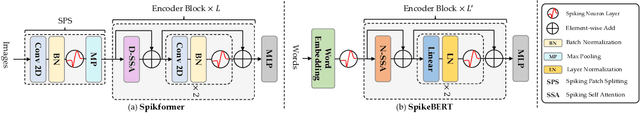 Figure 1 for SpikeBERT: A Language Spikformer Trained with Two-Stage Knowledge Distillation from BERT