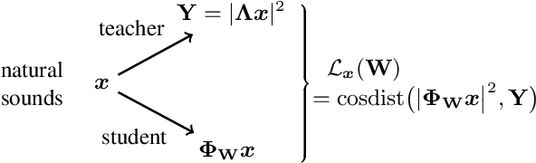 Figure 1 for Fitting Auditory Filterbanks with Multiresolution Neural Networks