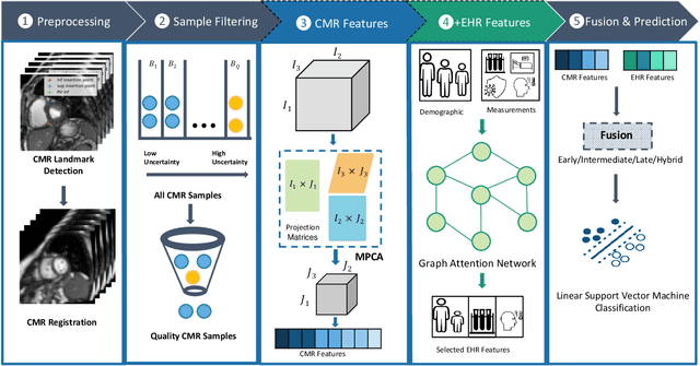 Figure 1 for Interpretable Multimodal Learning for Cardiovascular Hemodynamics Assessment