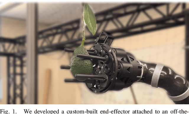 Figure 1 for Design of an End-effector with Application to Avocado Harvesting