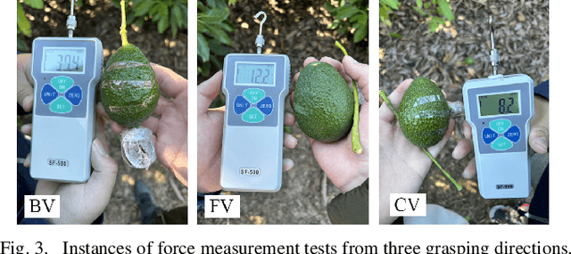 Figure 4 for Design of an End-effector with Application to Avocado Harvesting