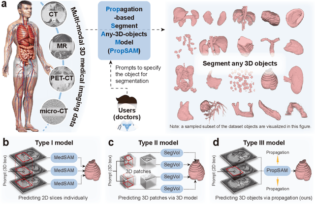 Figure 1 for PropSAM: A Propagation-Based Model for Segmenting Any 3D Objects in Multi-Modal Medical Images