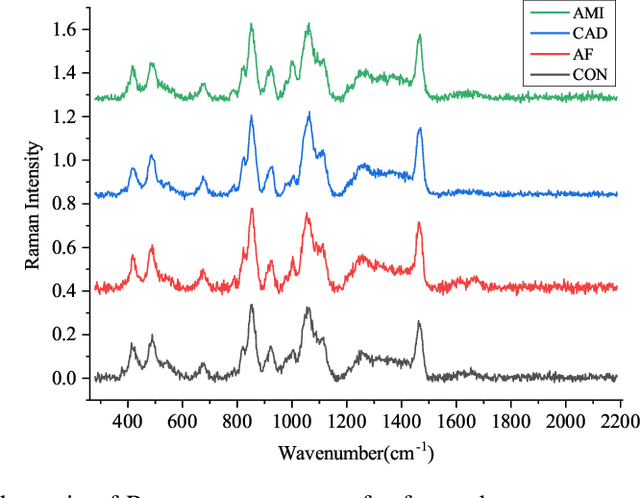 Figure 1 for Multi-Modality Multi-Scale Cardiovascular Disease Subtypes Classification Using Raman Image and Medical History