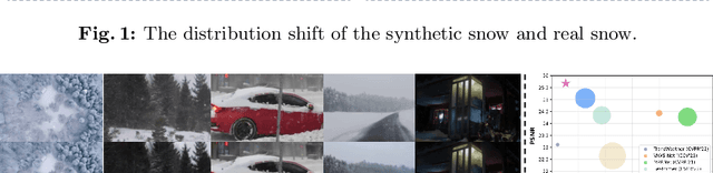 Figure 3 for Semi-Supervised Video Desnowing Network via Temporal Decoupling Experts and Distribution-Driven Contrastive Regularization