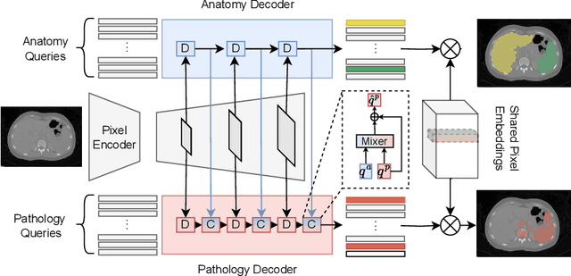 Figure 2 for Anatomy-guided Pathology Segmentation